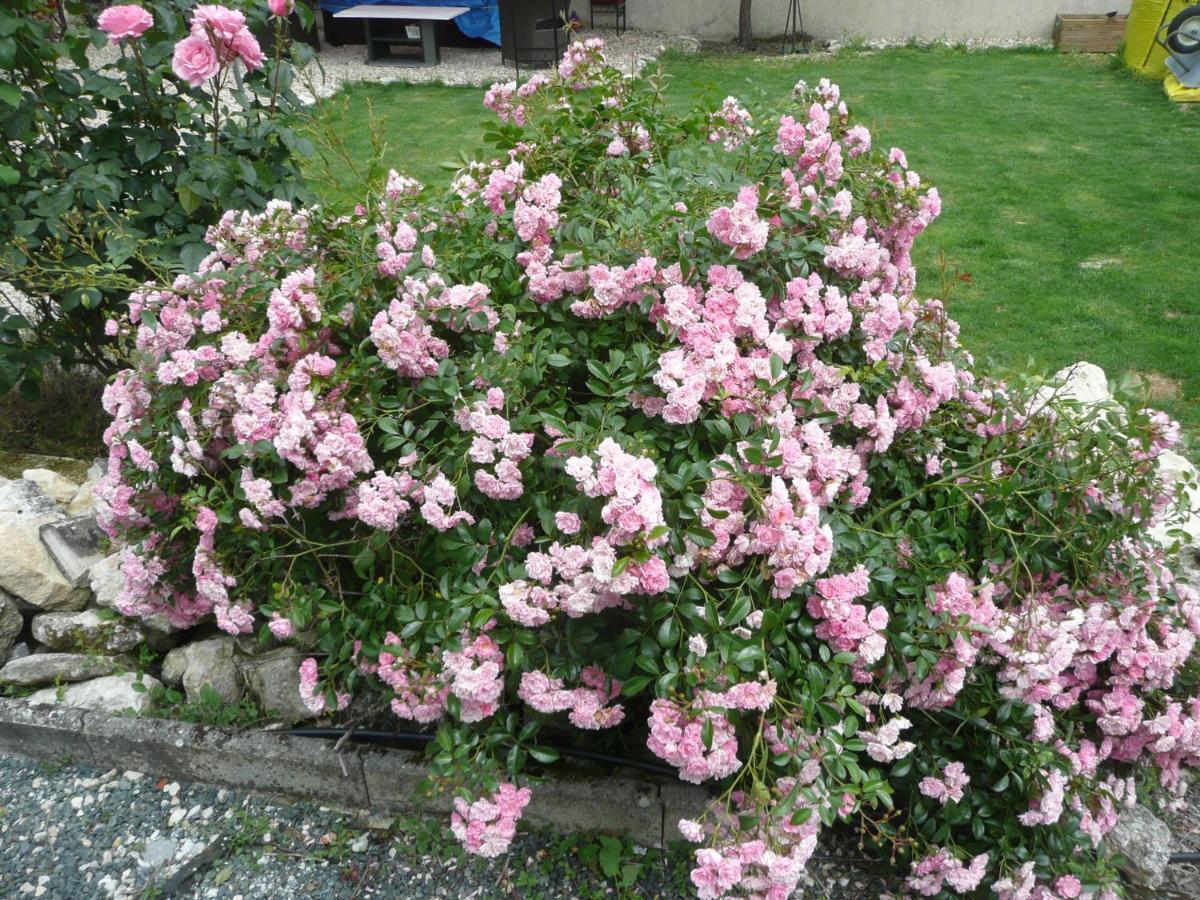 Maison Blanc Bed & Breakfast Gibourne ภายนอก รูปภาพ